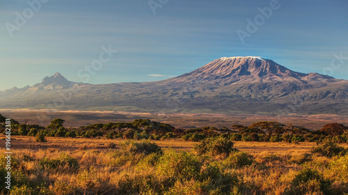 Obraz na płótnie arid dry African savanna in late evening with Mount Kilimanjaro, highest peak i Africa