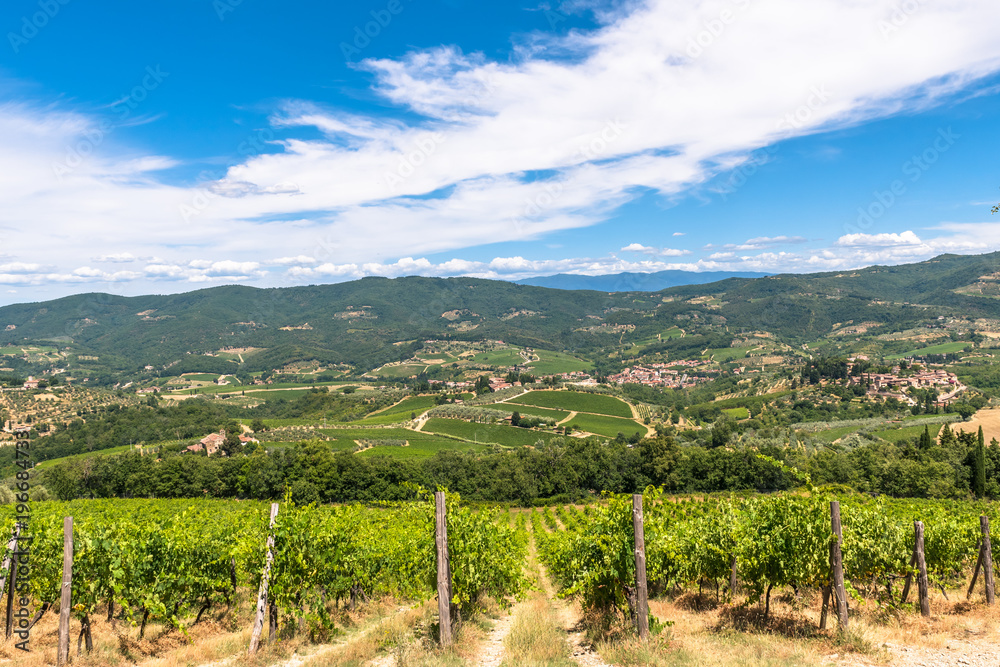 The Landscape in Tuscany is just beautiful with all those Vineyards where good Vines were born and the small Villages.