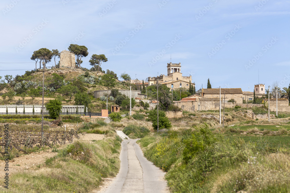  Village and landscape view, spring day, Banyeres del Penedes, Penedes region, Catalonia.