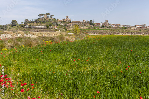  Village and landscape view, spring day, Banyeres del Penedes, Penedes region, Catalonia. photo