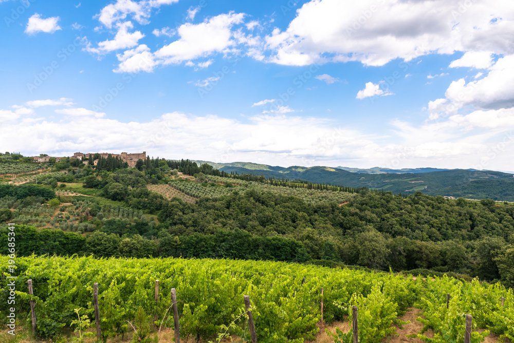 The Landscape in Tuscany is just beautiful with all those Vineyards where good Vines were born and the small Villages. The Landscape in Tuscany is just beautiful with all those Vineyards where good Vines were born and the small Villages.