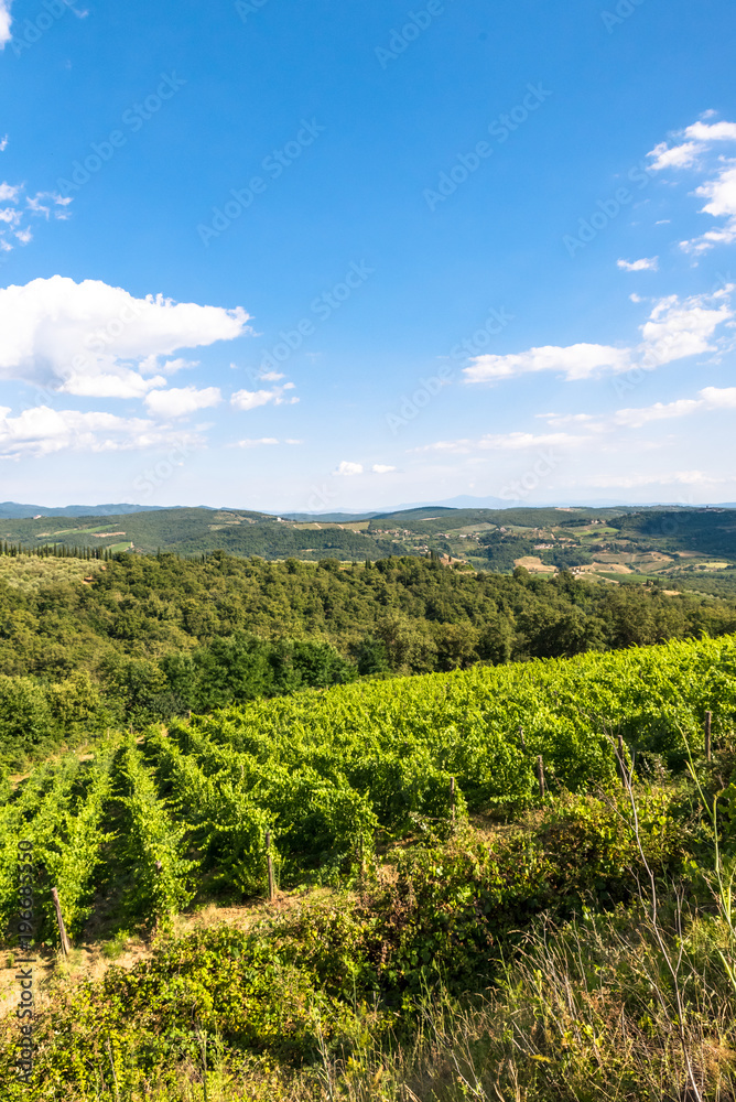 The Landscape in Tuscany is just beautiful with all those Vineyards where good Vines were born and the small Villages.