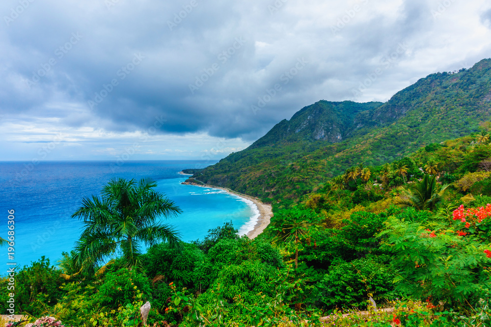 picturesque natural wild landscape with rocky mountains overgrown dense green jungle tree, palm and clear azure water of sea ocean