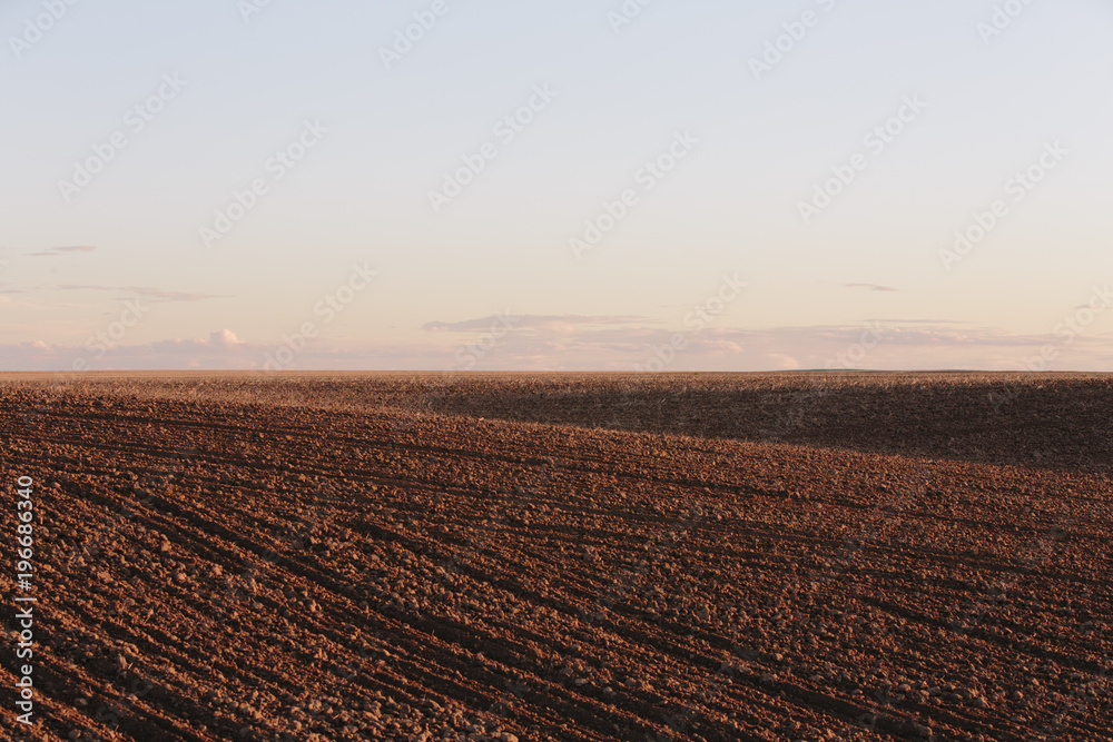 Freshly tilled and planted field of summer wheat, dusk Freshly tilled and planted field of summer wheat, dusk