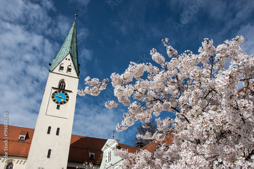 Kirschblüte am St.-Mang-Platz in Kempten
 photo