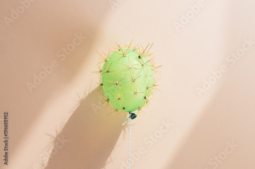 Balloon in disguise of cactus against wall photo