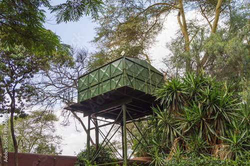 One green water storage tanks on stilts in the savannah of Amboseli Park in Kenya © Demande Philippe