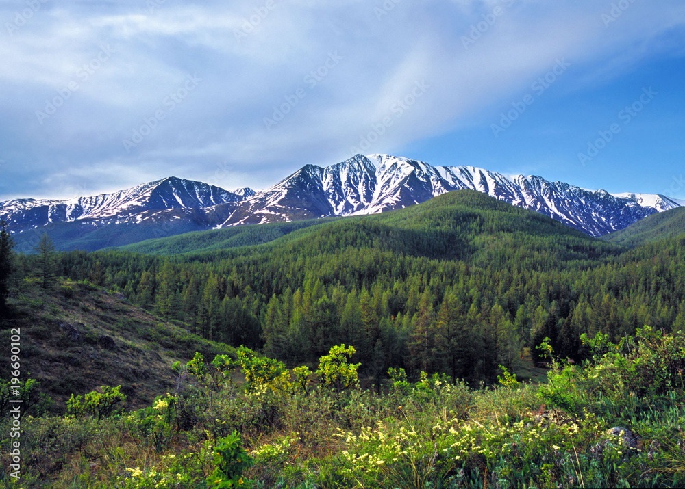 Snow-capped mountain ridge, Altai, Russia