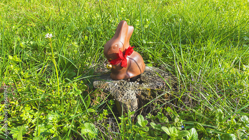 Coniglietto di Pasqua uova di Pasqua di cioccolata sull'erba verde