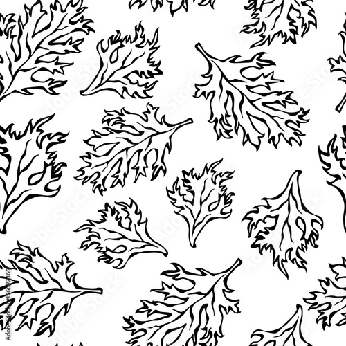 Botanical Seamless Endless Pattern of Green Curley Parsley Leaves. Background With Aromatic Herb. Fresh Cooking Salad Ingredient. Hand Drawn Illustration. Savoyar Doodle Style. photo