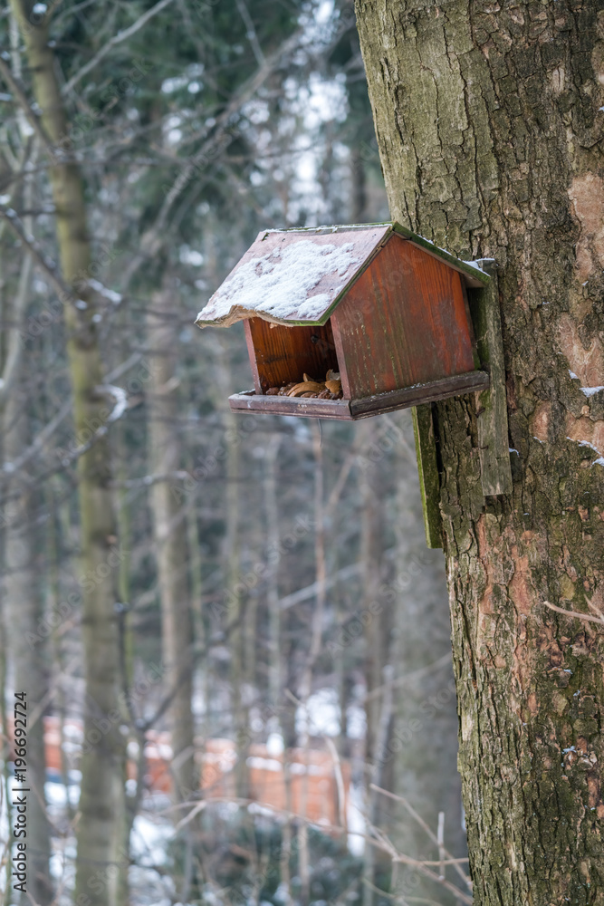 Wooden bird feeder in the forest Wooden bird feeder in the forest
