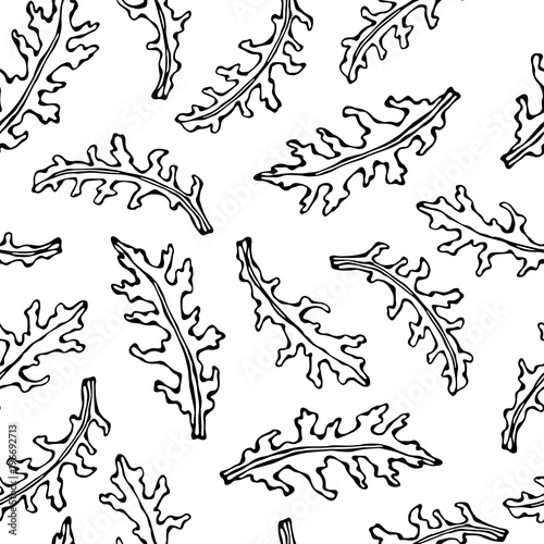 Seamless Endless Pattern of Arugula, Rucola, Rocket Salad Fresh Green Leaves. Aromatic Herb. Fresh Cooking Salad Ingredient. Hand Drawn Illustration. Savoyar Doodle Style.