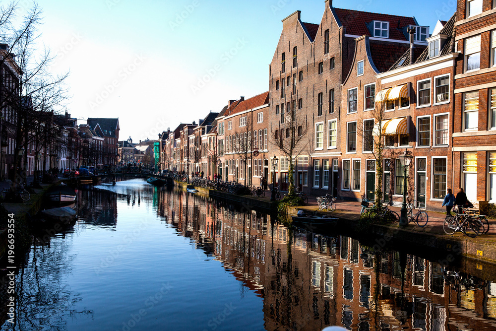 Canal with reflection of street filled with bicycles and houses in Hague in spring