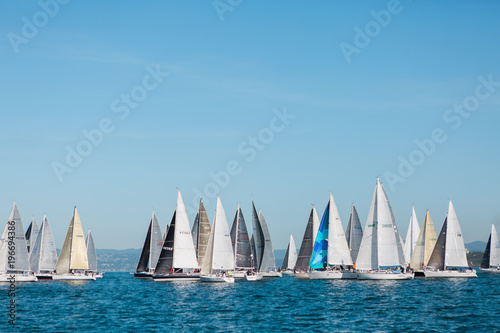 Sailboat in an international yacht race on open water