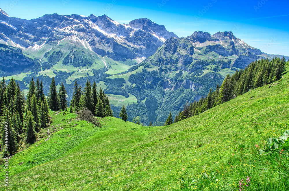 Swiss alps in the summer season. Panorama of the picturesque mountain,  alpine landscape. Resort Engelberg, Switzerland – Stock-Foto | Adobe Stock