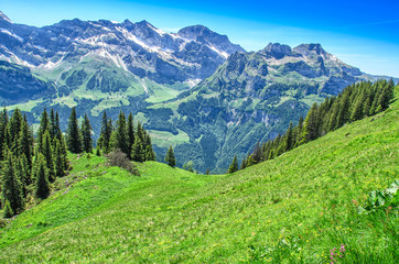 Foto auf Acrylglas Alpen Schweizer Alpen in der Sommersaison. Panorama des malerischen Berges, alpine Landschaft. Resort Engelberg, Schweiz  © Alex Tor