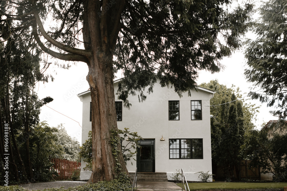 custom made wallpaper toronto digitalfront view of brand new renovated home in nice yard with large tree