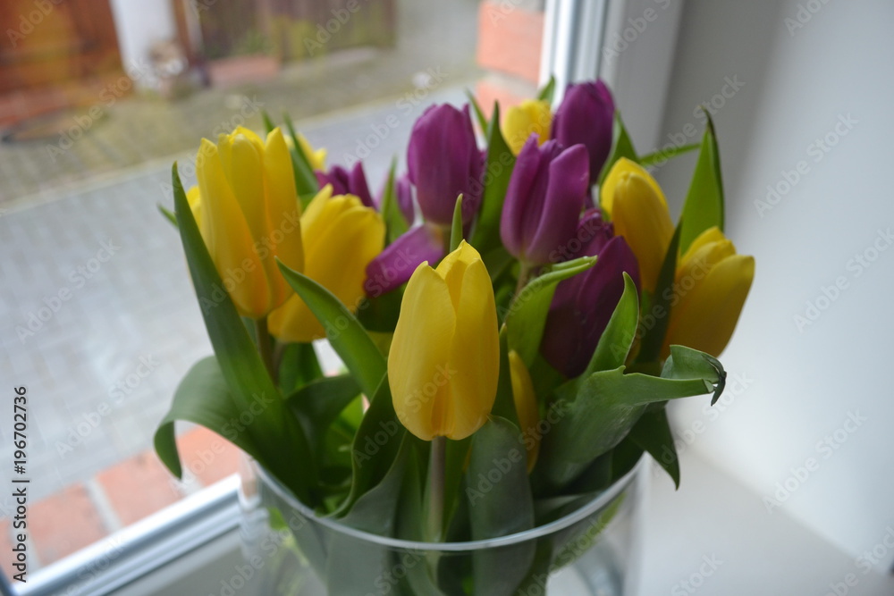Fototapeta premium Tulipany na parapecie