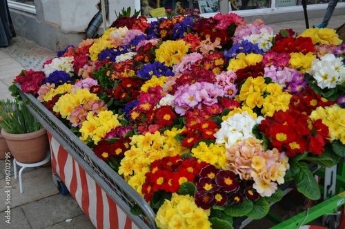 Kolorowe kwiaty na straganie