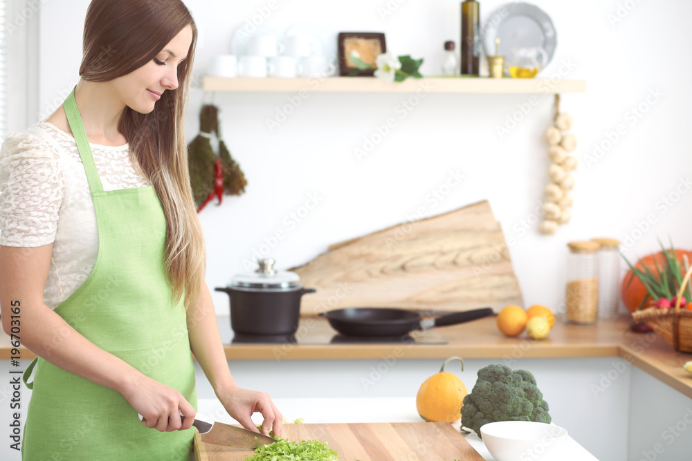 Young woman cooking in the kitchen Young woman cooking in the kitchen