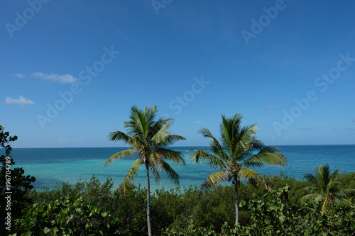 looking out over Bahia Honda in the gorgeous Florida Keys at the inviting clear waters and the palm trees