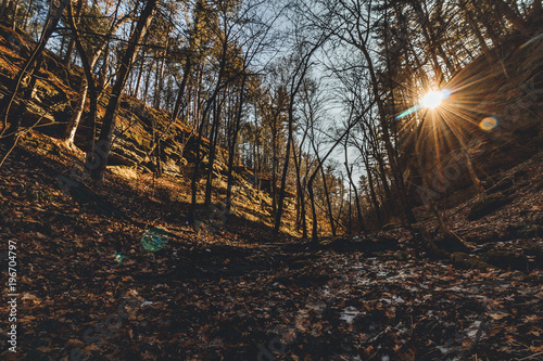 Deep Forest