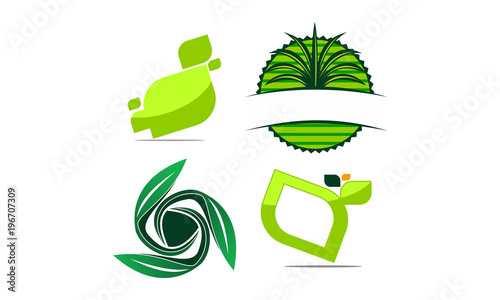 Leaf Template Vector Set