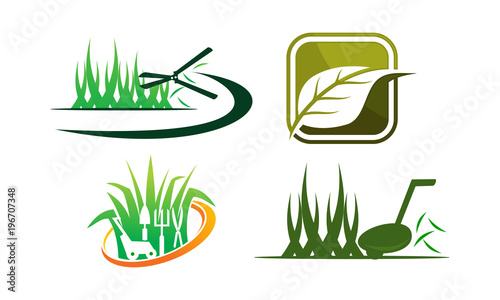 Leaf Template Vector Set