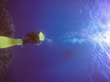 okinawa diving