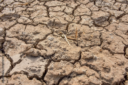 Broken ground image, drought.