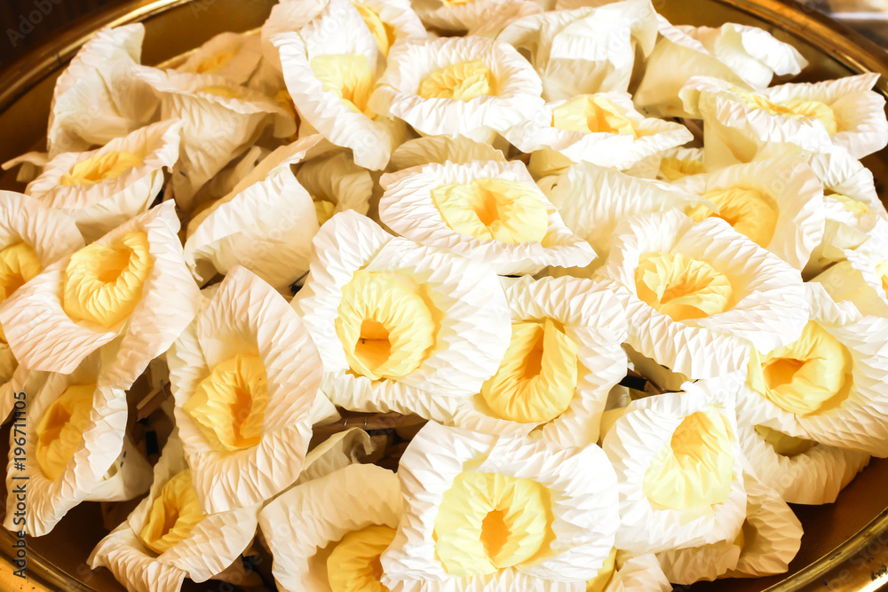 Closeup white and yellow Sandalwood flowers or artificial flowers background Closeup white and yellow Sandalwood flowers or artificial flowers background