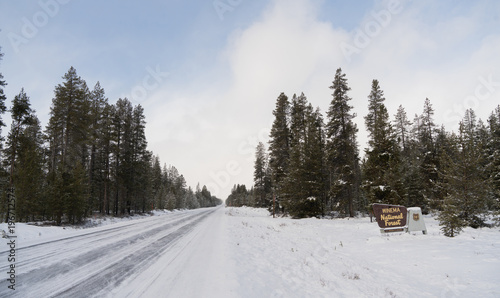 Winter Woods Winema National Forest Welcome Sign