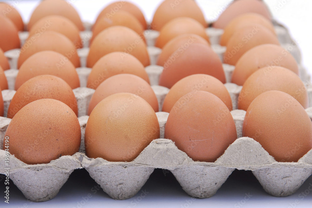 close up on brown eggs in egg box isolated on white background