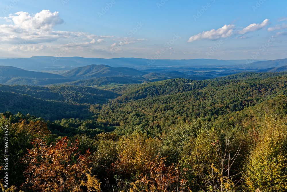 Valley with trees in fall colors