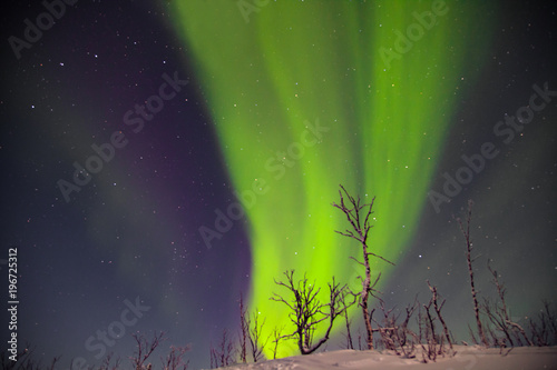 beautiful northern lights over lappland in finnland photo