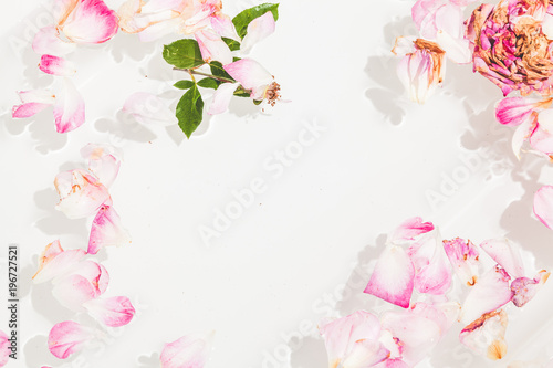 Romantic abstraction. Petals of withered roses on white background