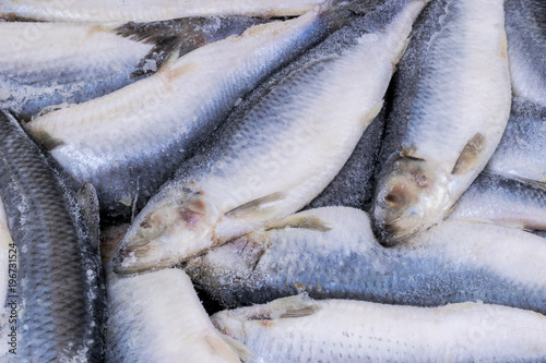 Frozen herring. Frozen group of fish. iced atlantic fish. Herrings. Herring pattern.Herring texture.
