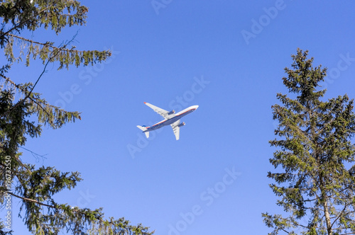 Flying plane seen through the leaves in a forest