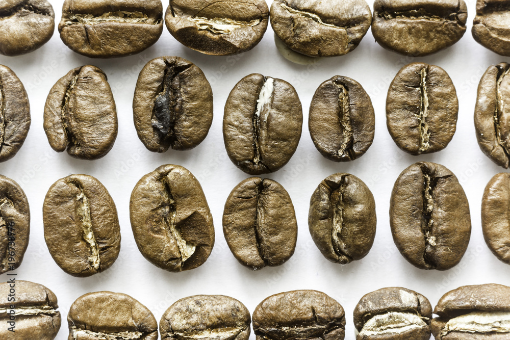 Horizontal and vertical rows of coffee beans.Different shapes and different shades of brown. White background.Site about food,drinks, health,business.