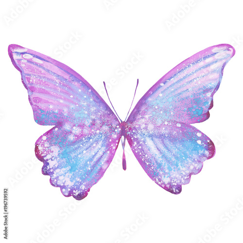 watercolor lilac butterfly