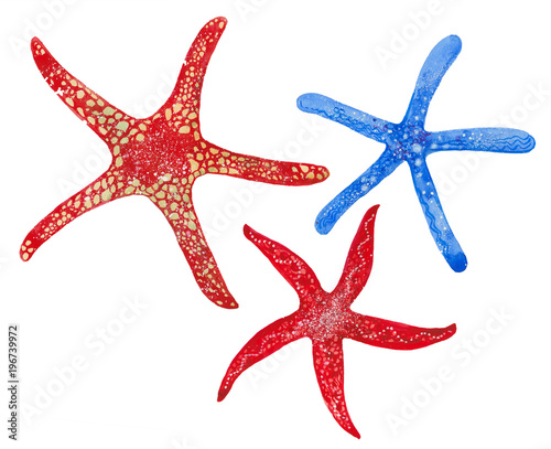 watercolor three starfish