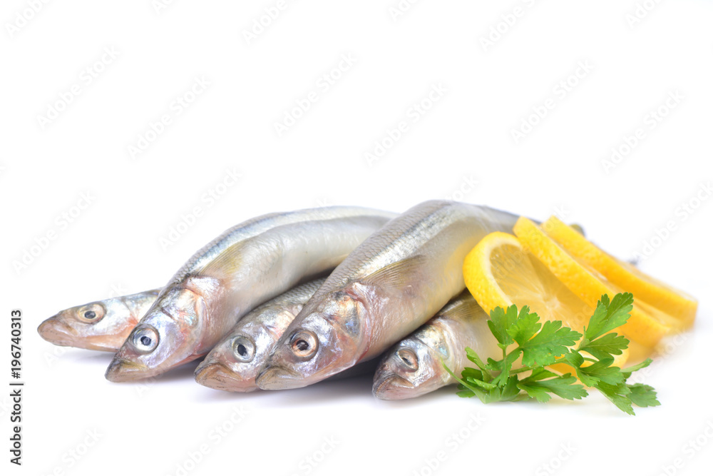 Smelt fish