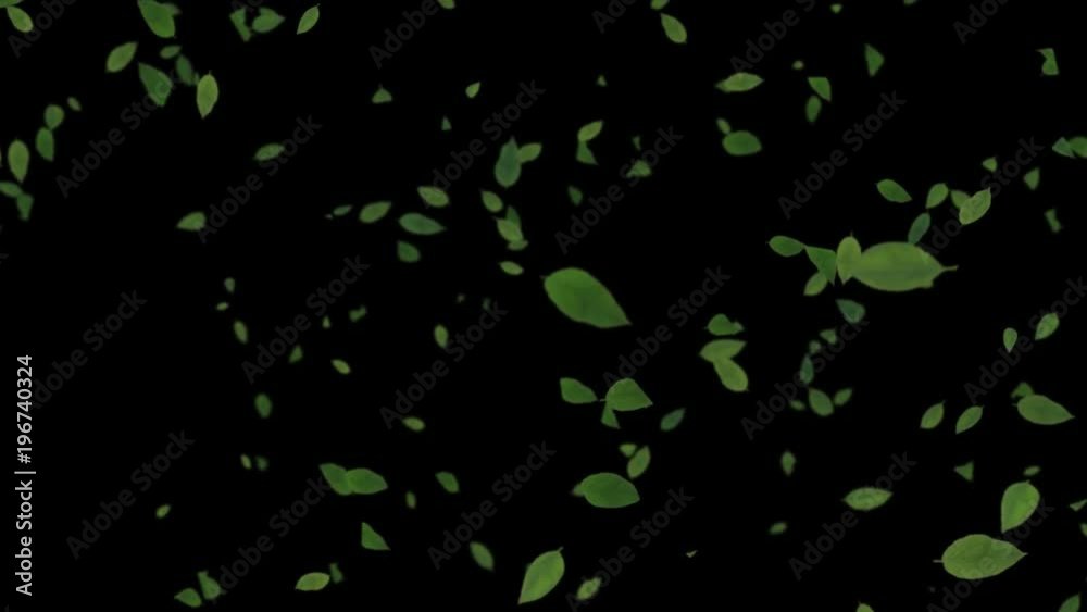 Leaf_Falling_Slow_Loop Leaf_Falling_Slow_Loop