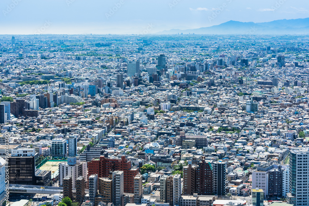 Fototapeta premium 東京 住宅街が広がる都市風景