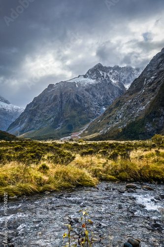 River in Fiordland national park, New Zealand