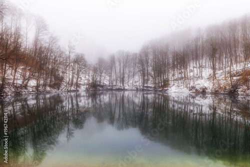 Lake in snowy forest