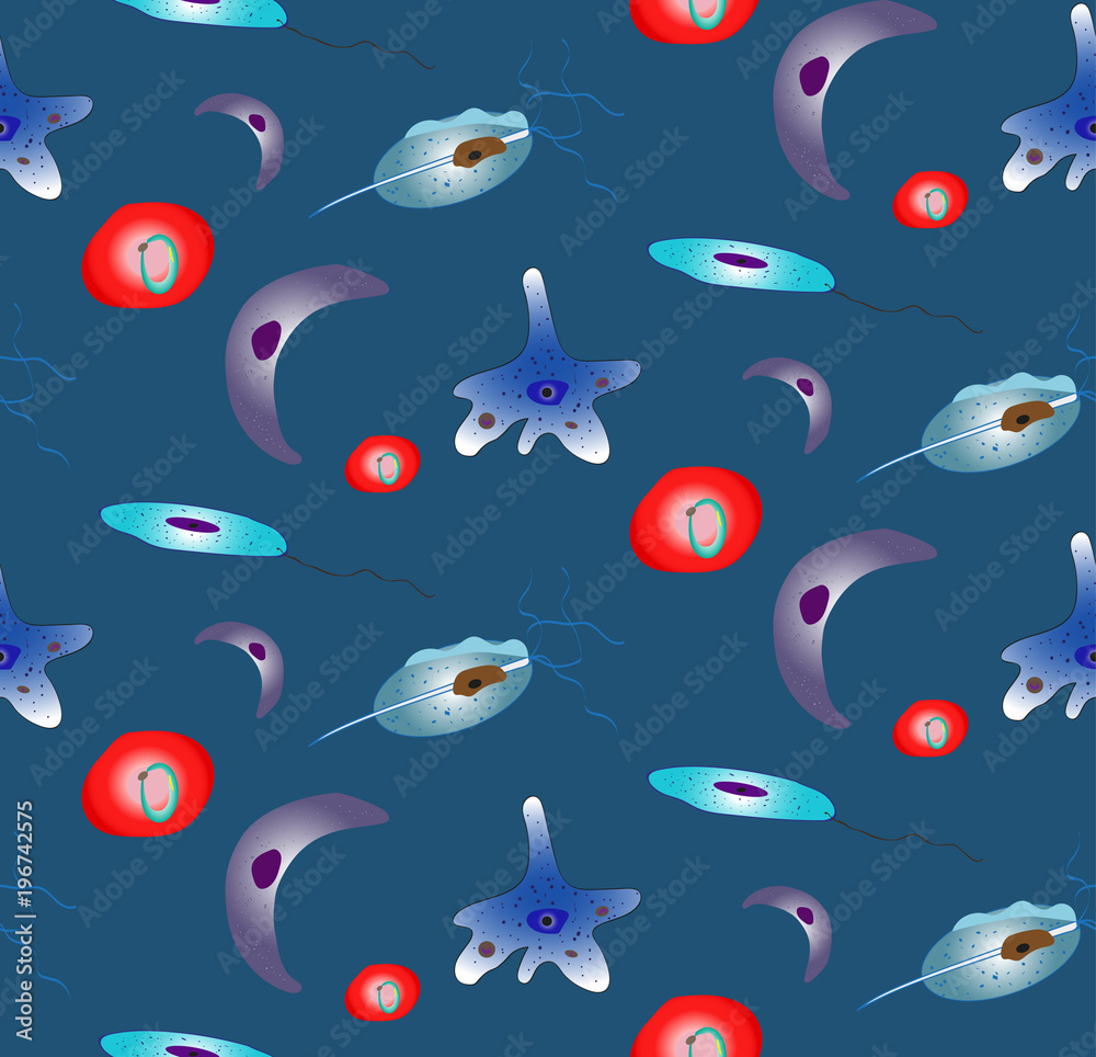 Pattern with Protozoa - the causative agents of human diseases Pattern with Protozoa - the causative agents of human diseases