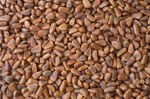 Pine nuts background