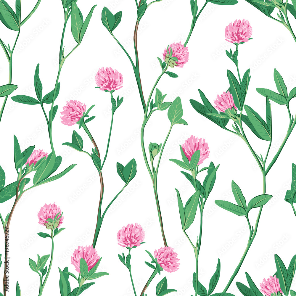 Floral seamless pattern with red clover.