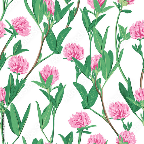 Floral seamless pattern with red clover. © Aleksa Mikhailechko